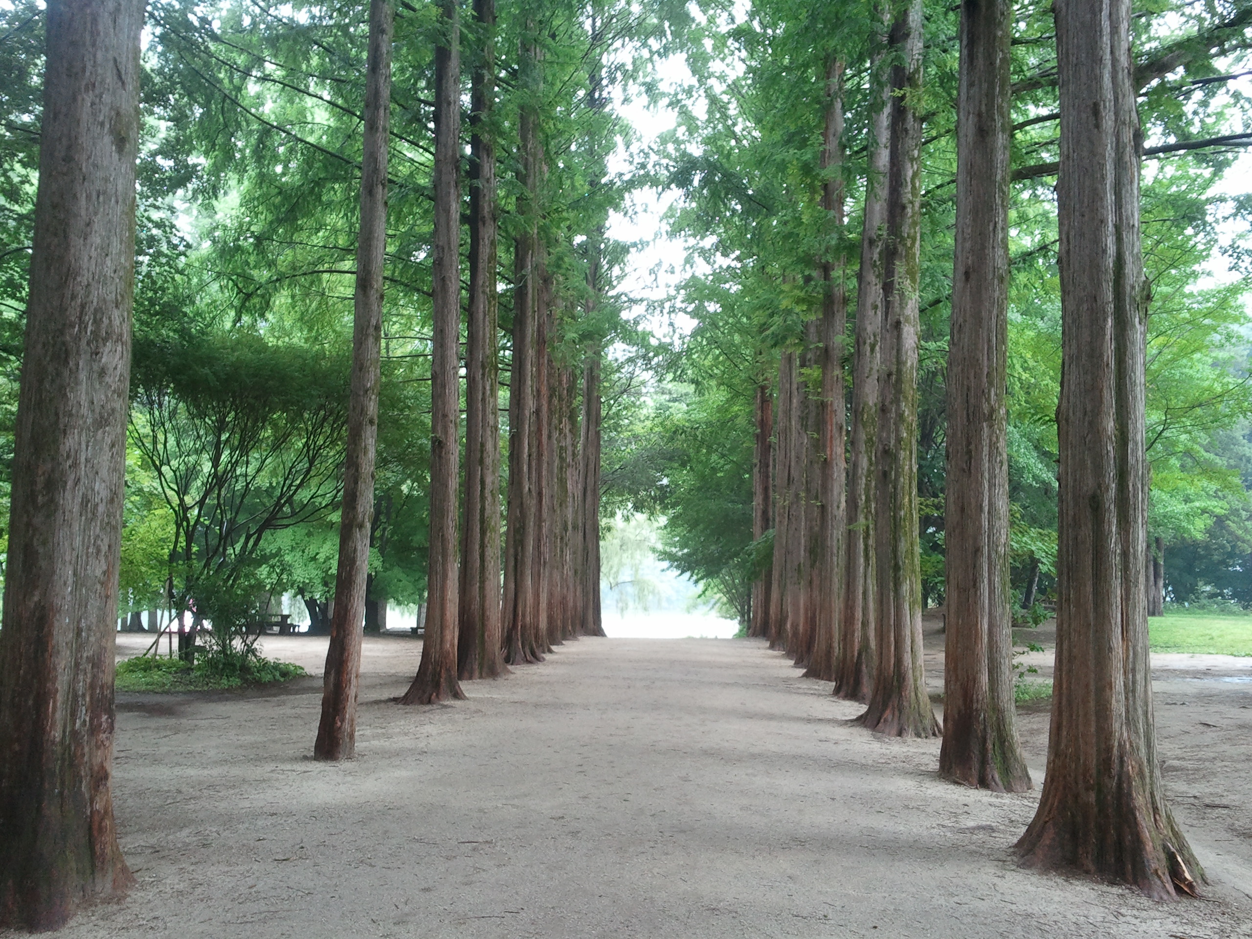 Nami Seorak Everland Seoul tour